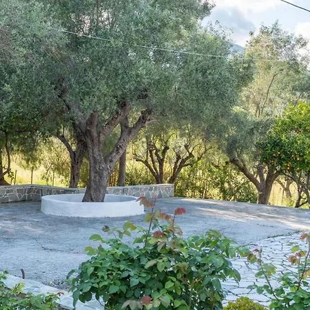 Holiday House Zakynthos Lithakia  Esterno foto
