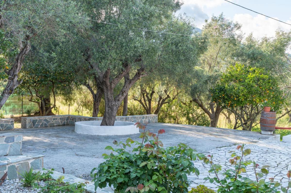 House Zakynthos